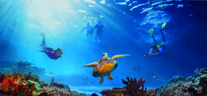 Snorkelling in the Grenadines